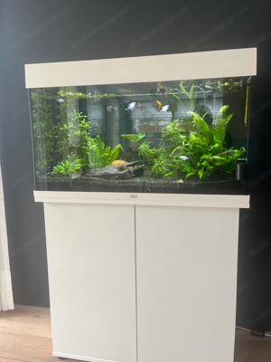 Aquarium Juwel Rio 125l komplett mit viel Zubehör 80x35x123cm  