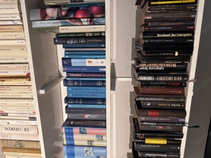 Bücherregal Sonderanfertigung Bild 3