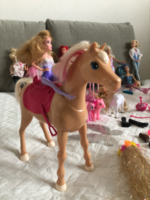 Barbies mit Zubehör Bild 5