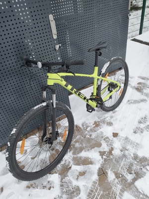 Trek Marlin 5 (m l) 29zoll Bild 4