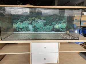 Aquarium geschenkt 