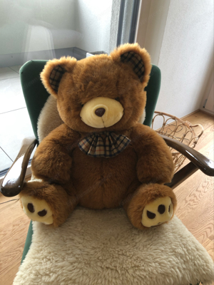 Teddybär Bild 3