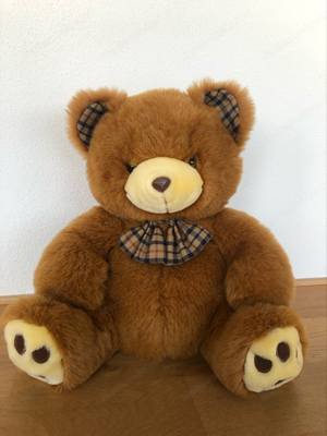 Teddybär Bild 2