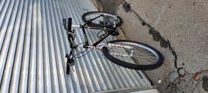 Checker Pig CPX 3025 Mountainbike Vintage Bild 4