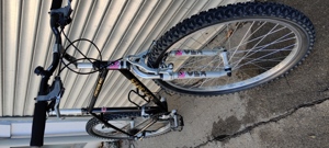 Checker Pig CPX 3025 Mountainbike Vintage Bild 3