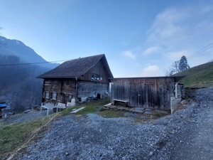 Landwirtschaft zu verkaufen Bild 4