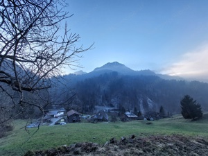 Landwirtschaft zu verkaufen Bild 7