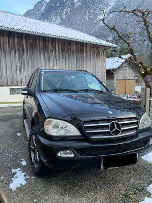 ml 270 cdi Bild 2