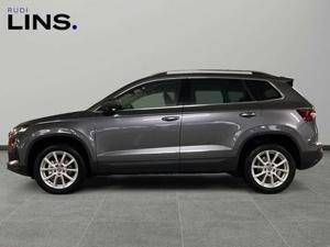 Skoda Karoq Bild 2