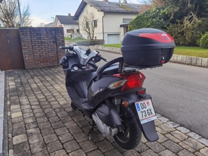 Kymco Grand Dink 250 Bild 4