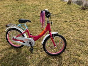   PUKY Kinderrad  4-6 Jahre Bild 2