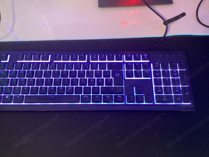 Razer ornata v3 X Bild 7