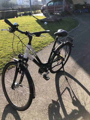 Damenfahrrad Kalkhof Bild 3