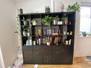 IKEA Kallax Regal 182x182cm