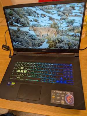 MSI Katana Gaming Laptop Bild 5