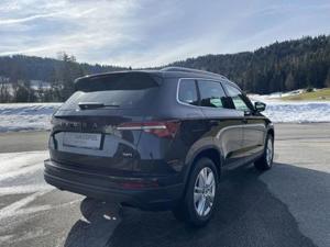 Skoda Karoq Bild 7