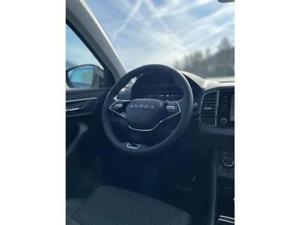 Skoda Karoq Bild 14