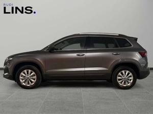 Skoda Karoq Bild 2