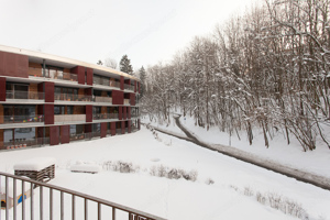 Moderne 2-Zimmerwohnung in Bregenz Vorkloster ab JUNI zu vermieten Bild 9