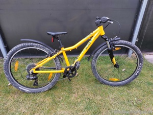 Bergamont 24" Kinder Mountainbike Bild 2