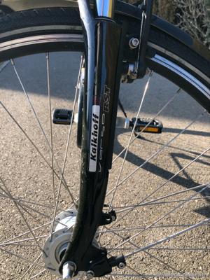 Damenfahrrad Kalkhof Bild 2