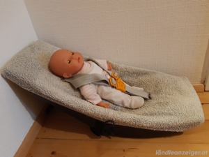 Weber Babyschale für Kinderanhänger