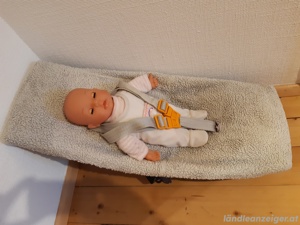 Weber Babyschale für Kinderanhänger Bild 3