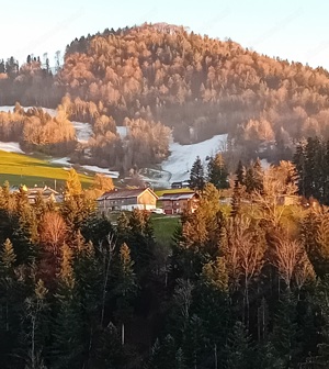 Single Wohnung - ruhige Lage - mit Balkon  Bild 2