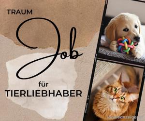 (Neben-) Job für Tierliebhaber 