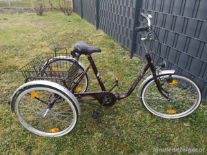 Fahrrad (Dreirad) Bild 3