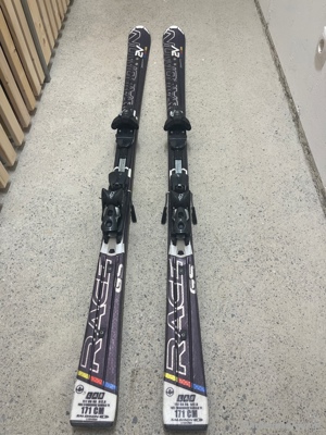 Alte Ski 171cm