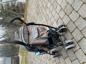 Buggy gebraucht Bild 3