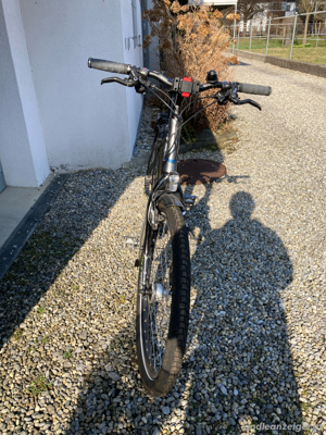 Fahrrad Simplon Kago Bild 4