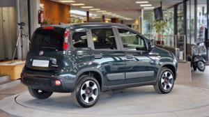 Fiat Panda Bild 10