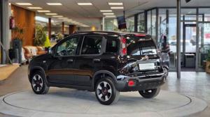 Fiat Panda Bild 6