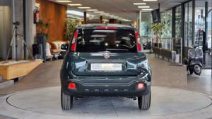 Fiat Panda Bild 8