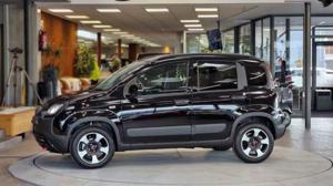 Fiat Panda Bild 4