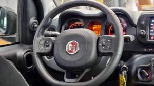 Fiat Panda Bild 19