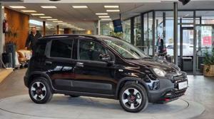 Fiat Panda Bild 12