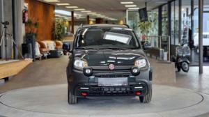 Fiat Panda Bild 15