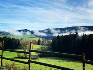 Platz frei für dein Pferd Bild 3