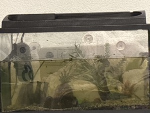 Aquarium mit Fische inkl. Geräte schnell abholen Preis runter