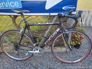 Rennrad Focus Carbon