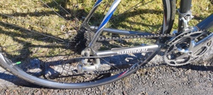 Verkaufe mein TREK Rennrad Bontrager Bild 3