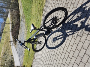 EBike Kraftstoff Bild 4