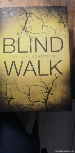 Buch Blind Walk