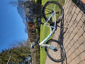KTM Wildcat 24 Bild 2