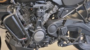 Harley Davidson Pan America Bild 5