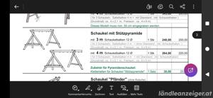 schaukel vom horner lauterach Bild 3