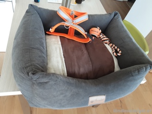 Hundebett Bild 2